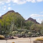 Phoenix Neighborhoods | AZ Luxury Real Estate Guide and Moving Resources
