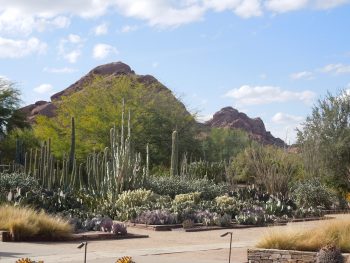 Phoenix Neighborhoods | AZ Luxury Real Estate Guide and Moving Resources